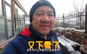 Video herunterladen: 又下雪了，小院大棚扣得严严实实！收集些雪花等做对比实验吧！