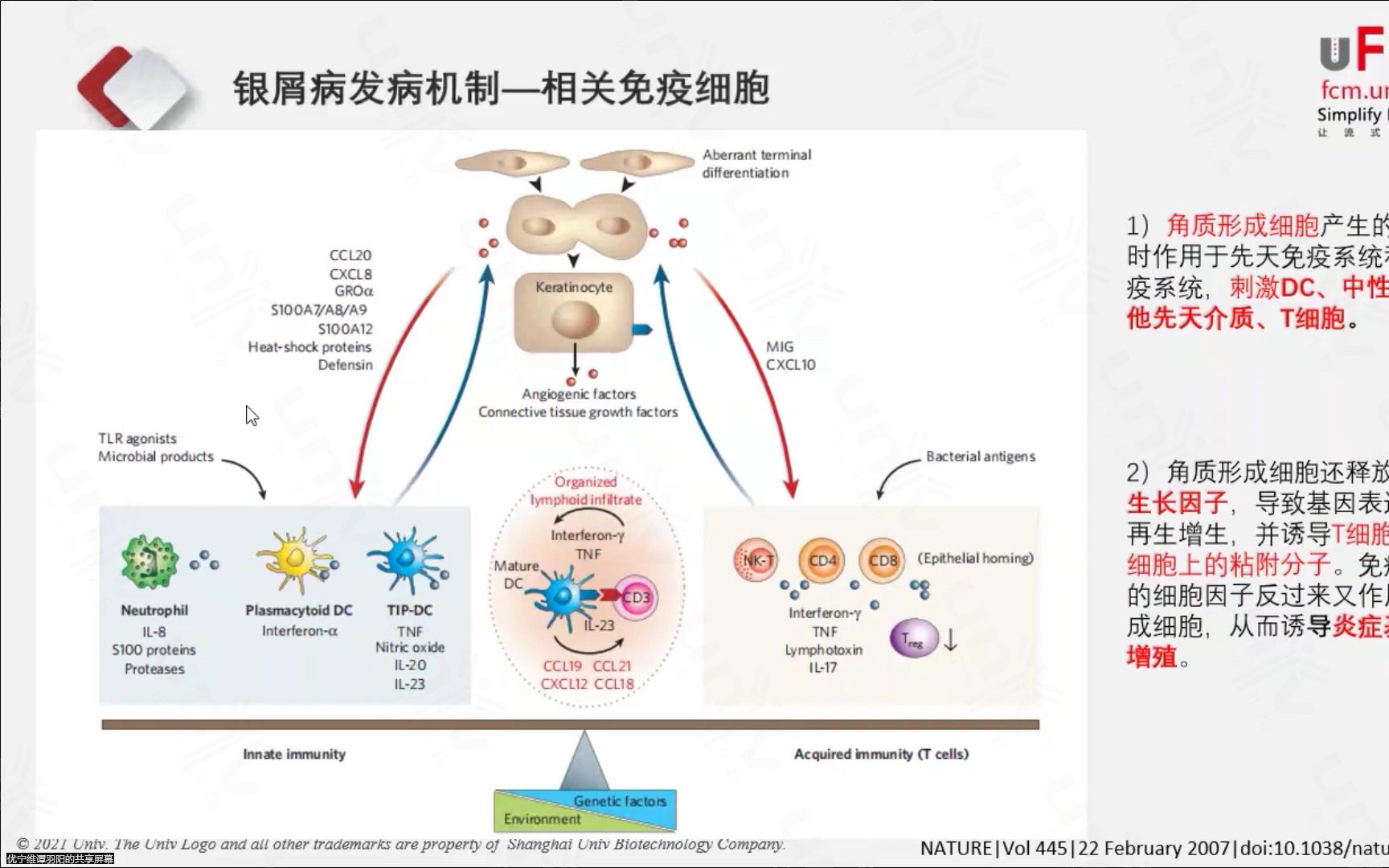 银屑病Psoriasis and the lmmune System Cell Based Solution哔哩哔哩bilibili