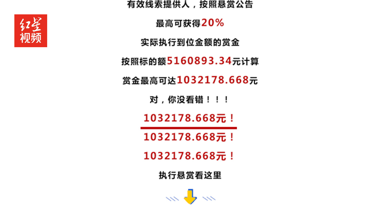 最高赏金超100万!法院全网悬赏公告背后是起什么案?哔哩哔哩bilibili