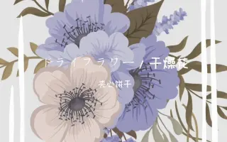 乾燥花 搜索结果 哔哩哔哩 Bilibili