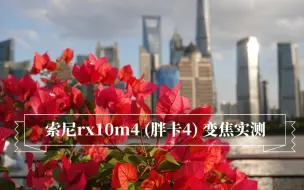 Download Video: 索尼rx10m4 (胖卡4) 北外滩变焦实测