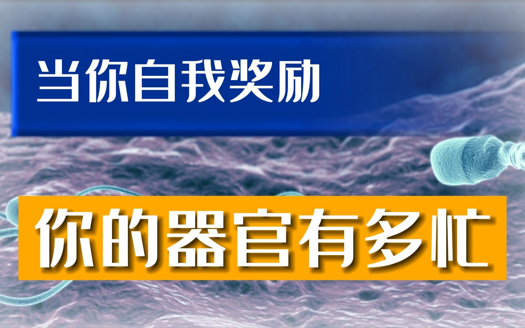 【人格化】当你奖励自己时,可知器官们有多忙?哔哩哔哩bilibili