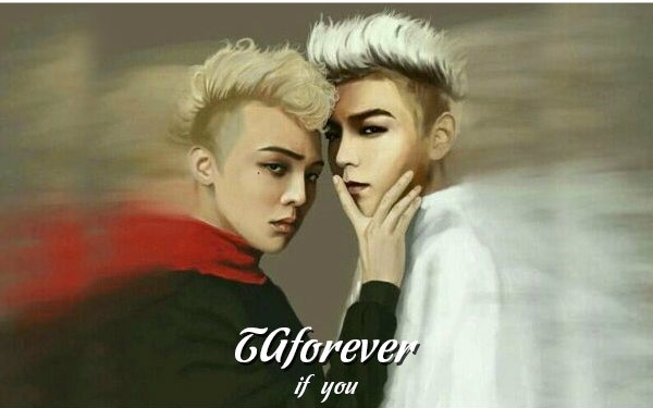 [图]tgforever（GD&TOP）-- IF YOU 自制mv第二版