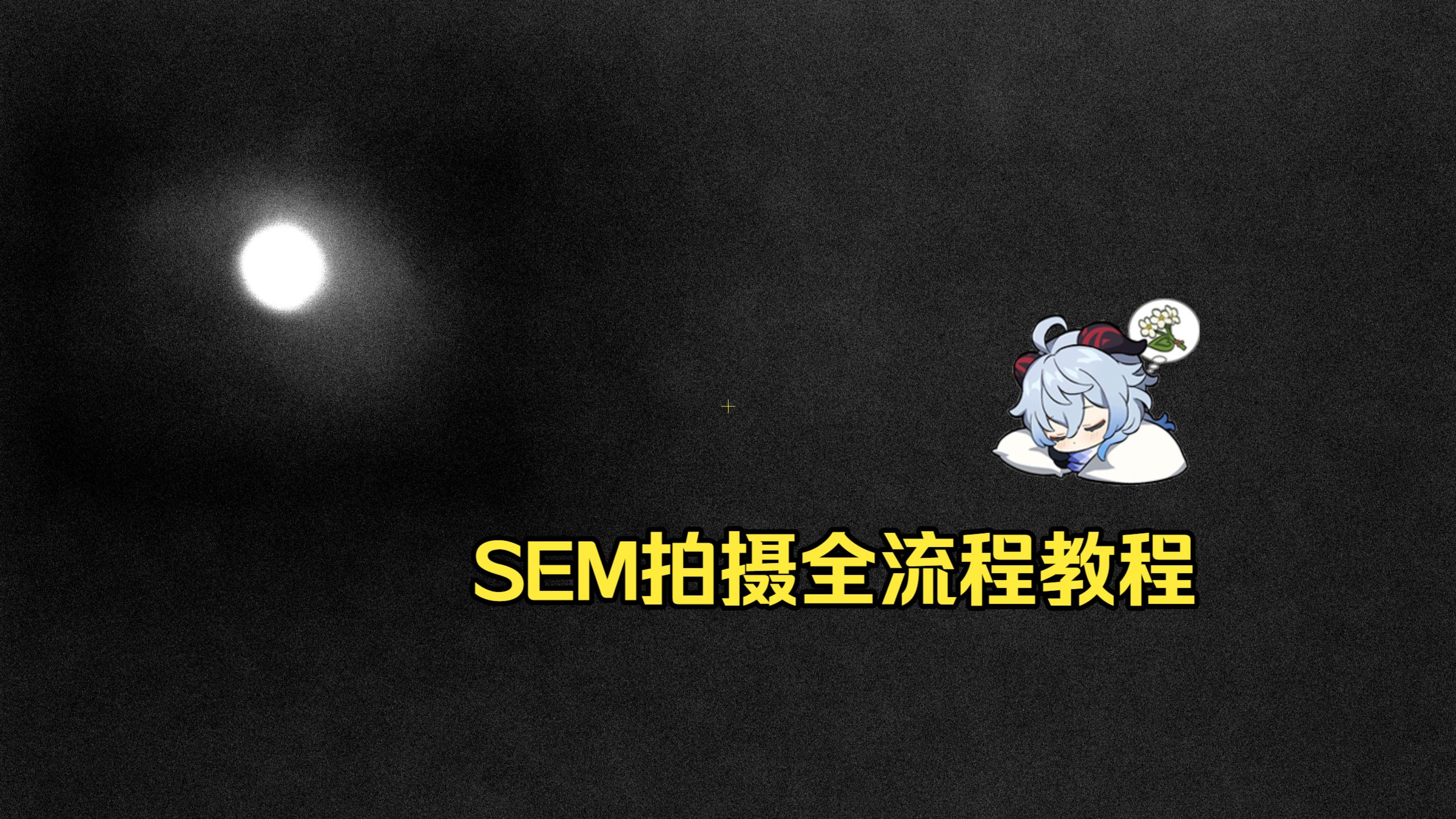 SEM Complete Operation Workflow Tutorial