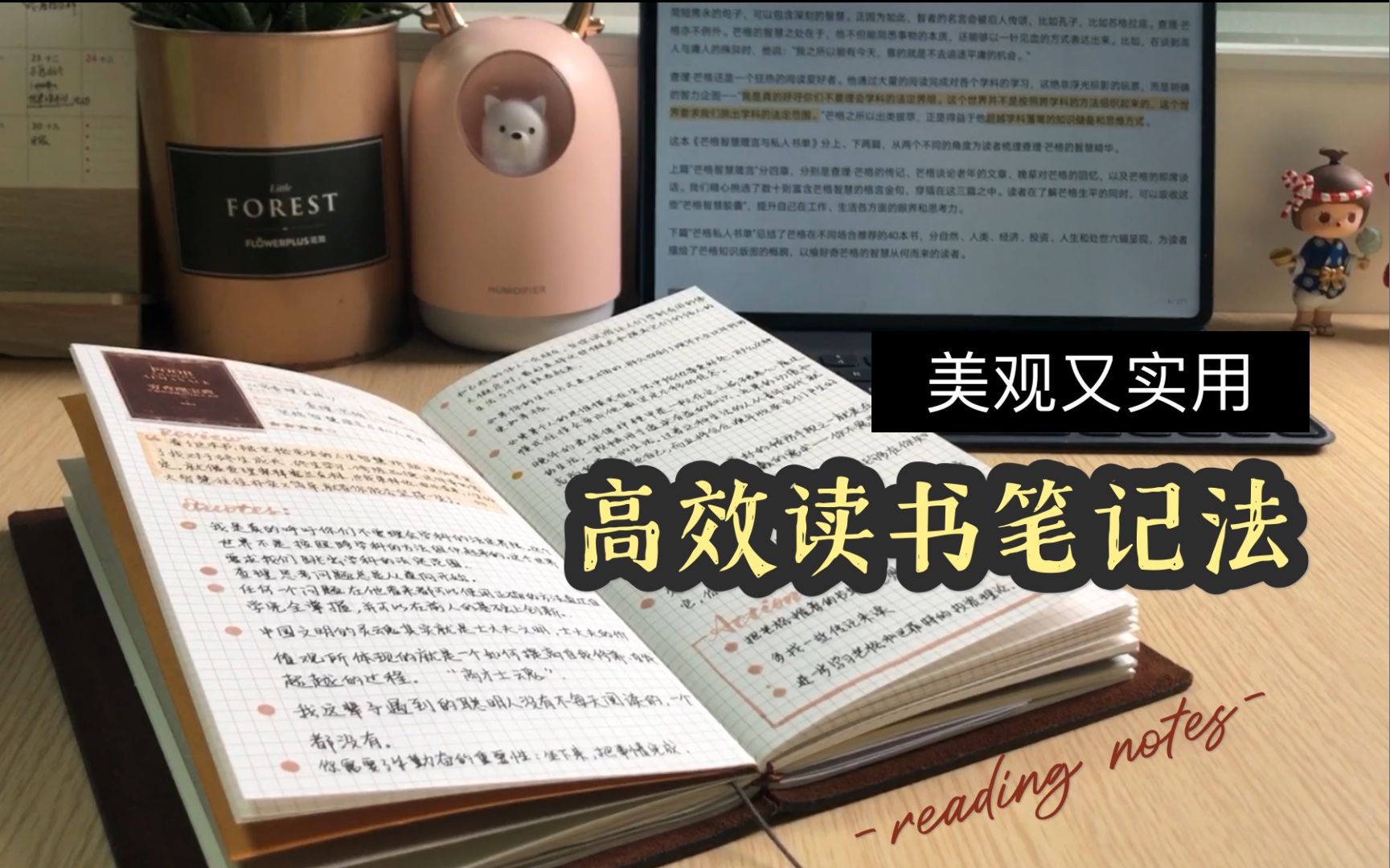 【世界读书日】美观实用的读书笔记法分享 所有美好都在阅读里 读书电影混剪|读后感 精华摘抄 下一步行动哔哩哔哩bilibili