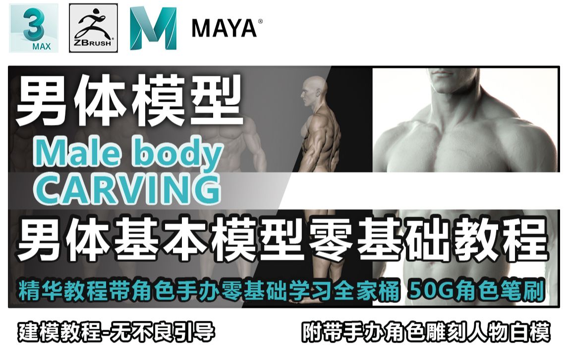 精华教程3DMAXMAYAZBRUSH全身男人体肌肉结构模型制作、雕刻不会做人体模型你学什么角色建模?哔哩哔哩bilibili