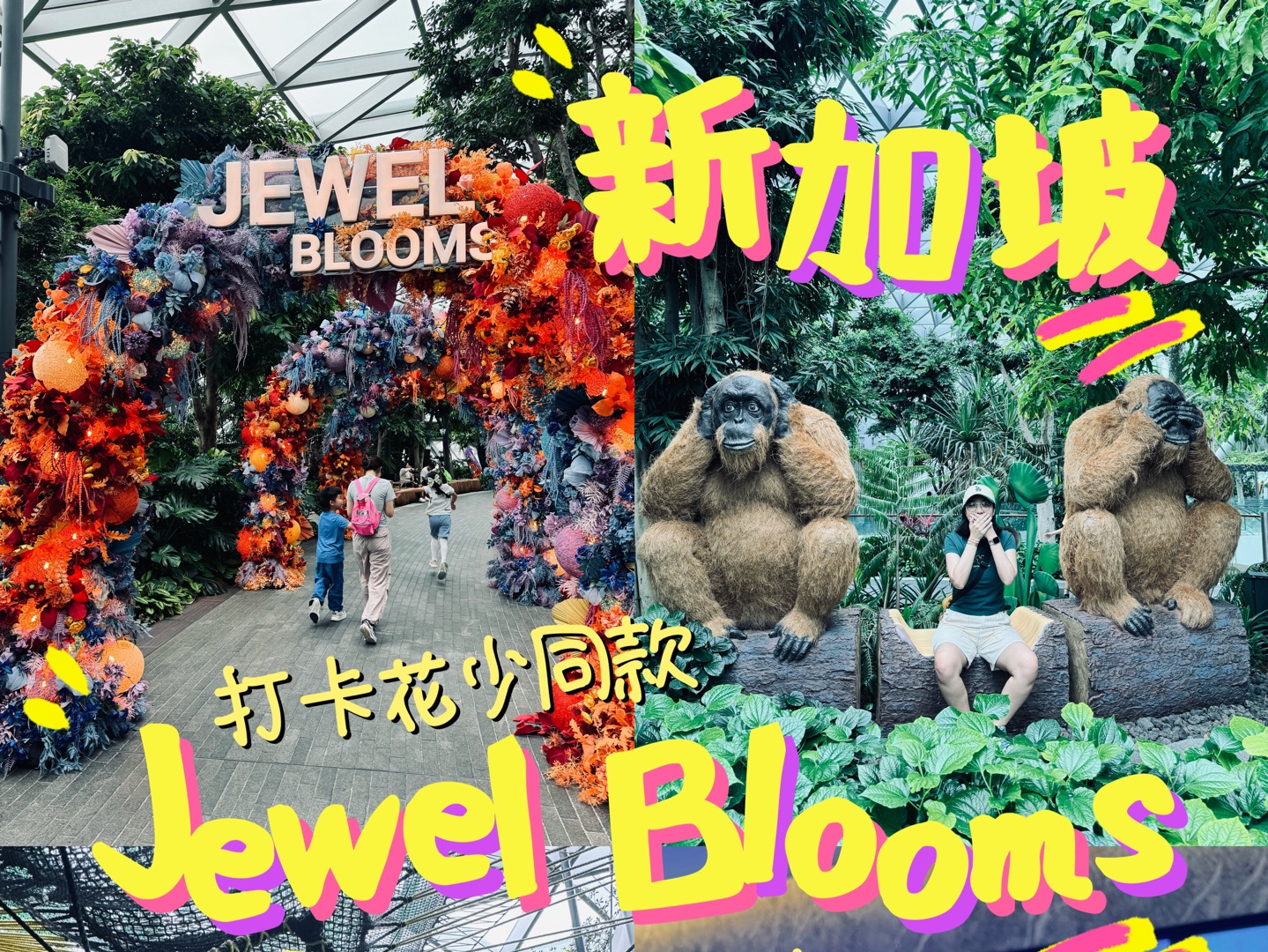 一篇视频讲清楚新加坡星耀樟宜 | Jewel | 花少同款 | 星空花园游玩Tips哔哩哔哩bilibili