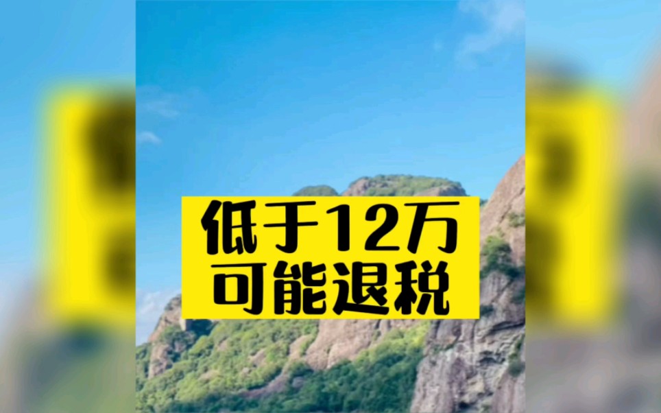 #个人所得税汇算清缴 #综合收入 低于12万,也有可能拿到#个人所得税退税 ,记得回来还愿哦!哔哩哔哩bilibili