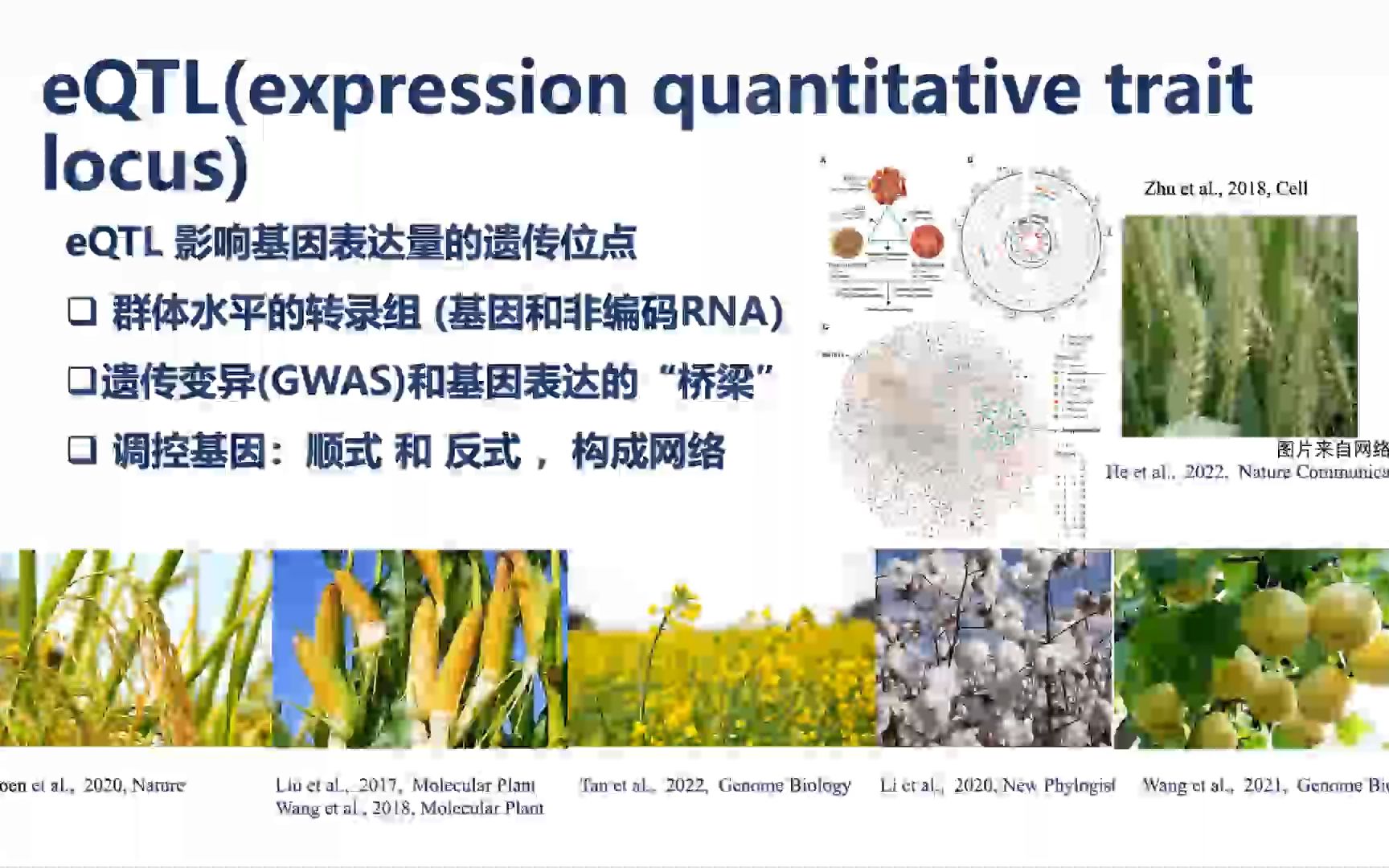 CGM第371期 赵汀博士 整合eQTL和机器学习,对棉花产量基因及调控网络进行解析哔哩哔哩bilibili