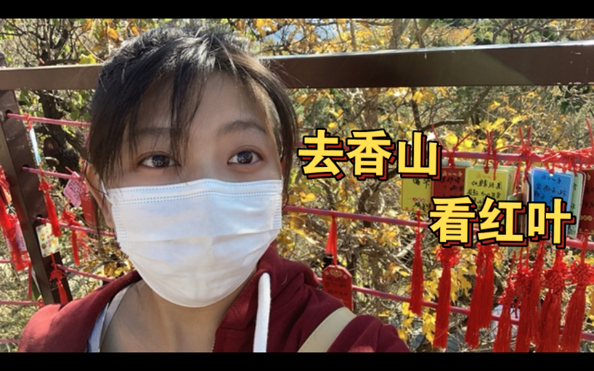 【北京香山vlog】红叶还没开盛,11月以后再去,如果你解封的话哔哩哔哩bilibili