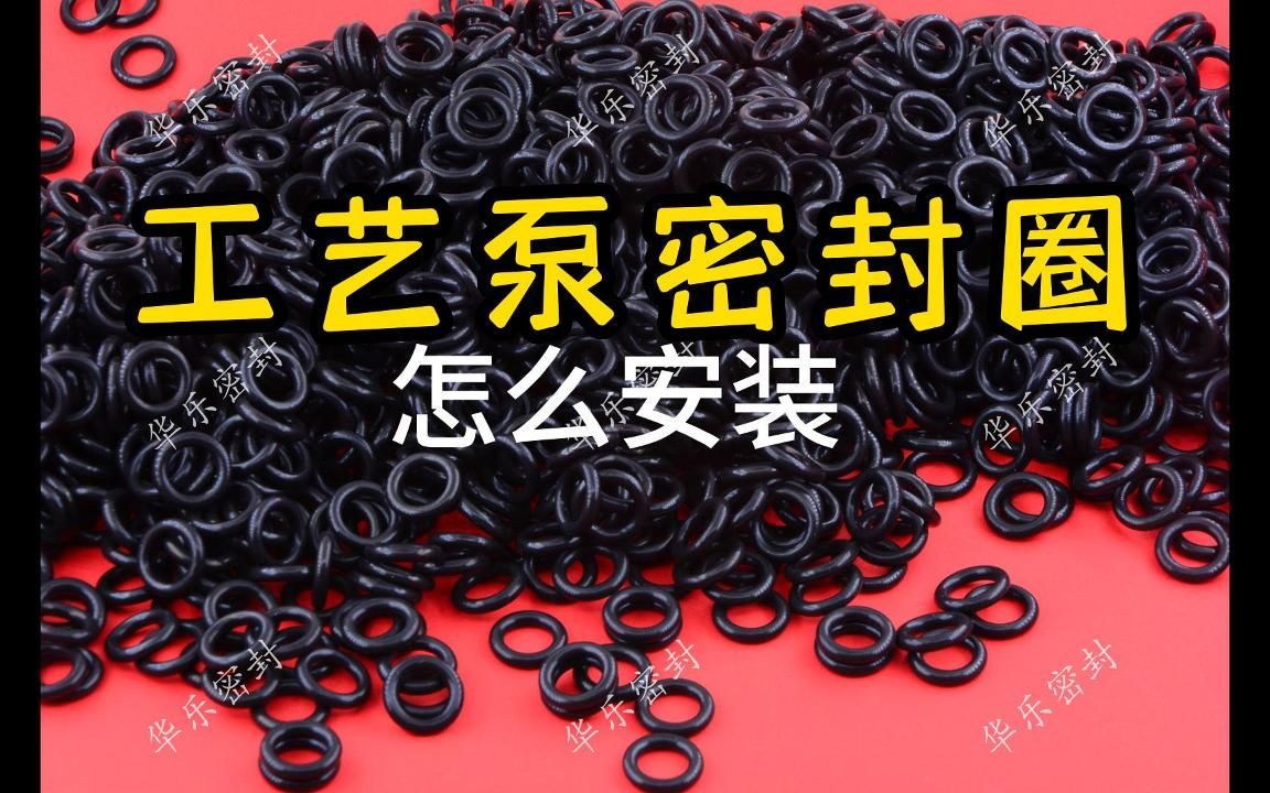 工艺泵密封圈怎么安装