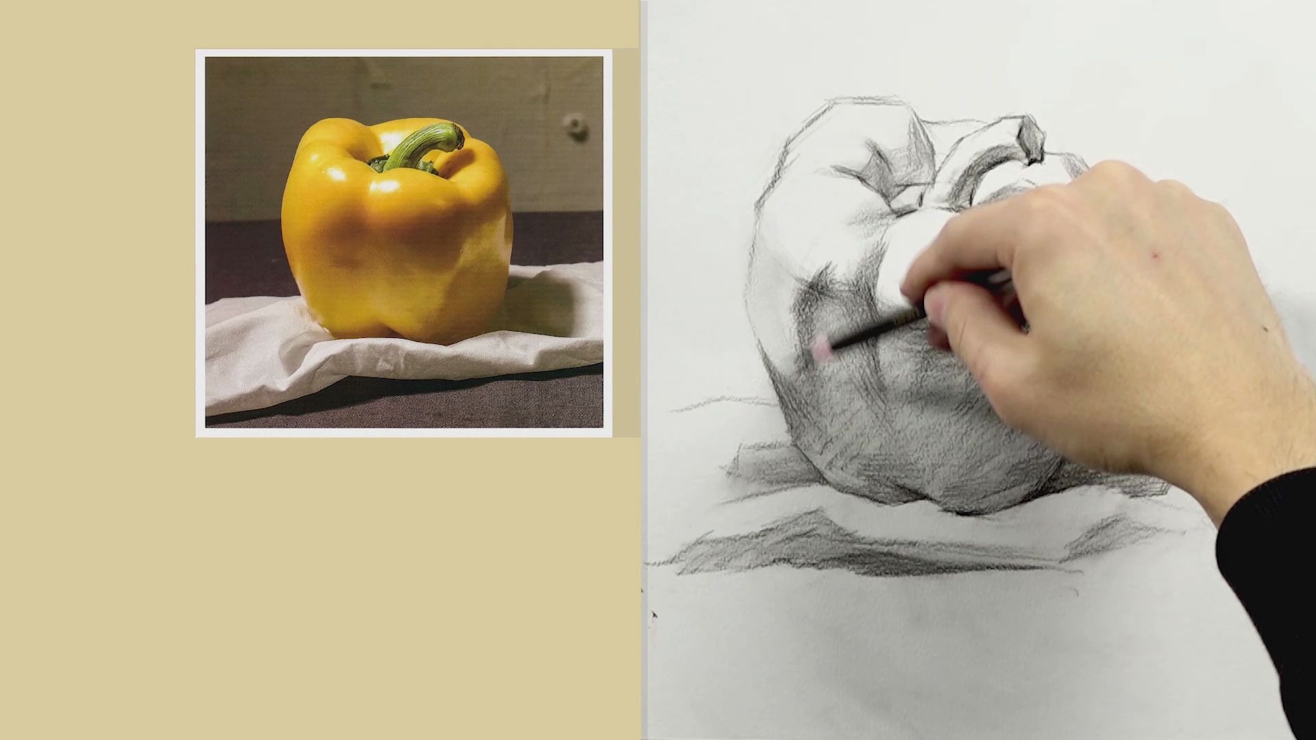 素描单个灯笼椒_哔哩哔哩 (゜-゜)つロ 干杯~-bilibili