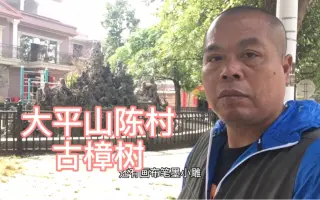 大平山 搜索结果 哔哩哔哩 Bilibili