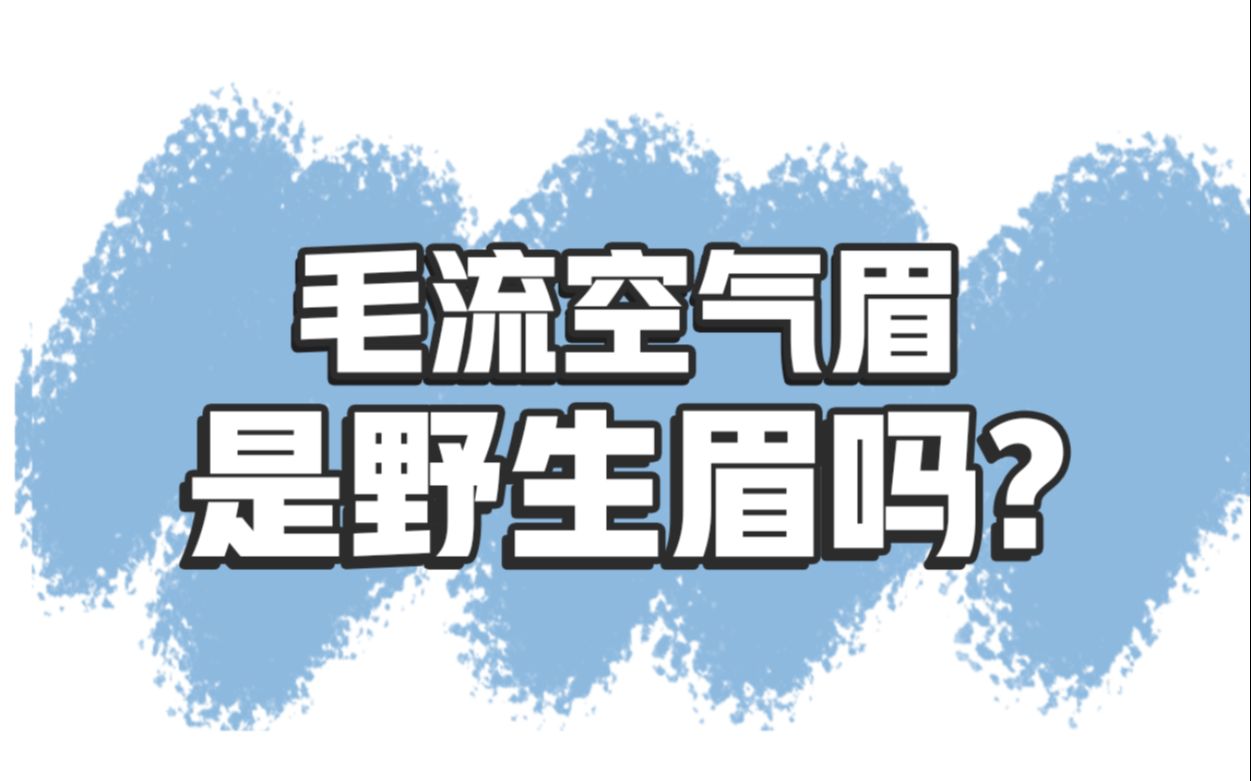 毛流空气眉是野生眉吗?看完这个视频你就知道了哔哩哔哩bilibili