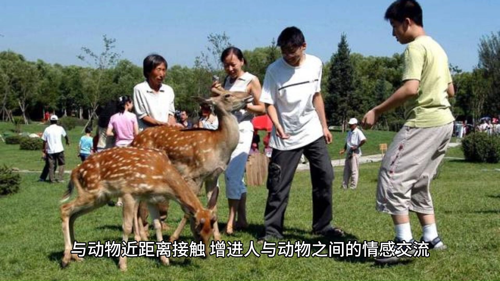 04野趣横生,上海野生动物园的奇妙邂逅