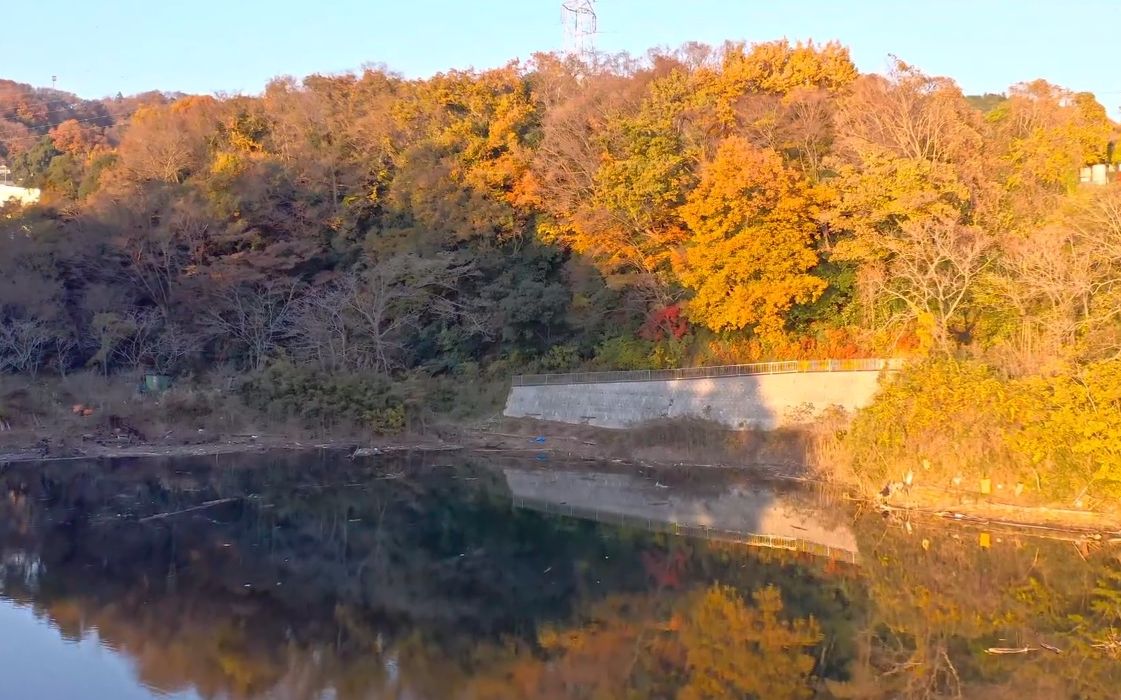 【超清日本】漫步神奈川县相模原市 松山寺的猫 (1080P高清版) 2022.1哔哩哔哩bilibili