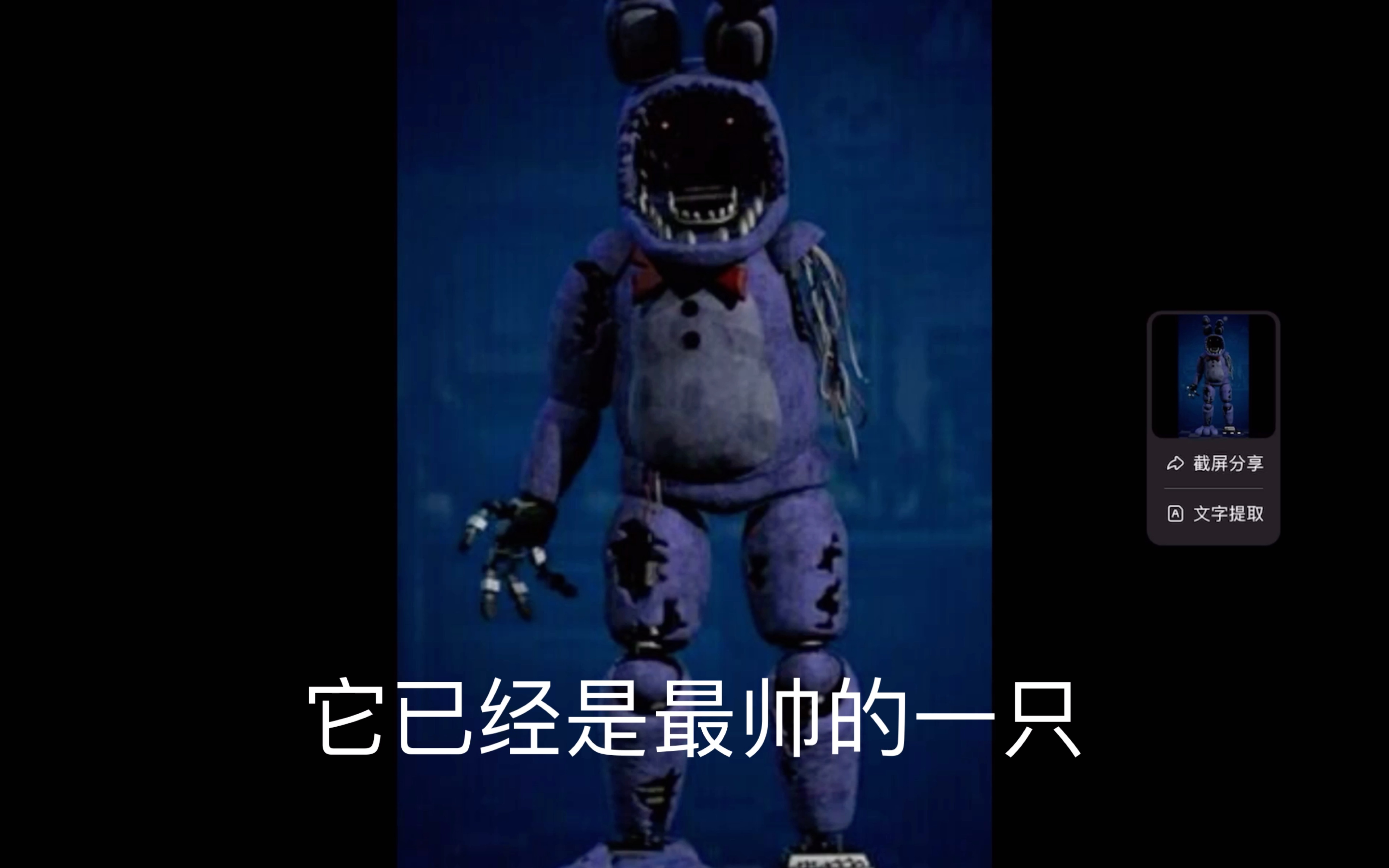邦尼=邦尼布鲁的视频哪里可以看