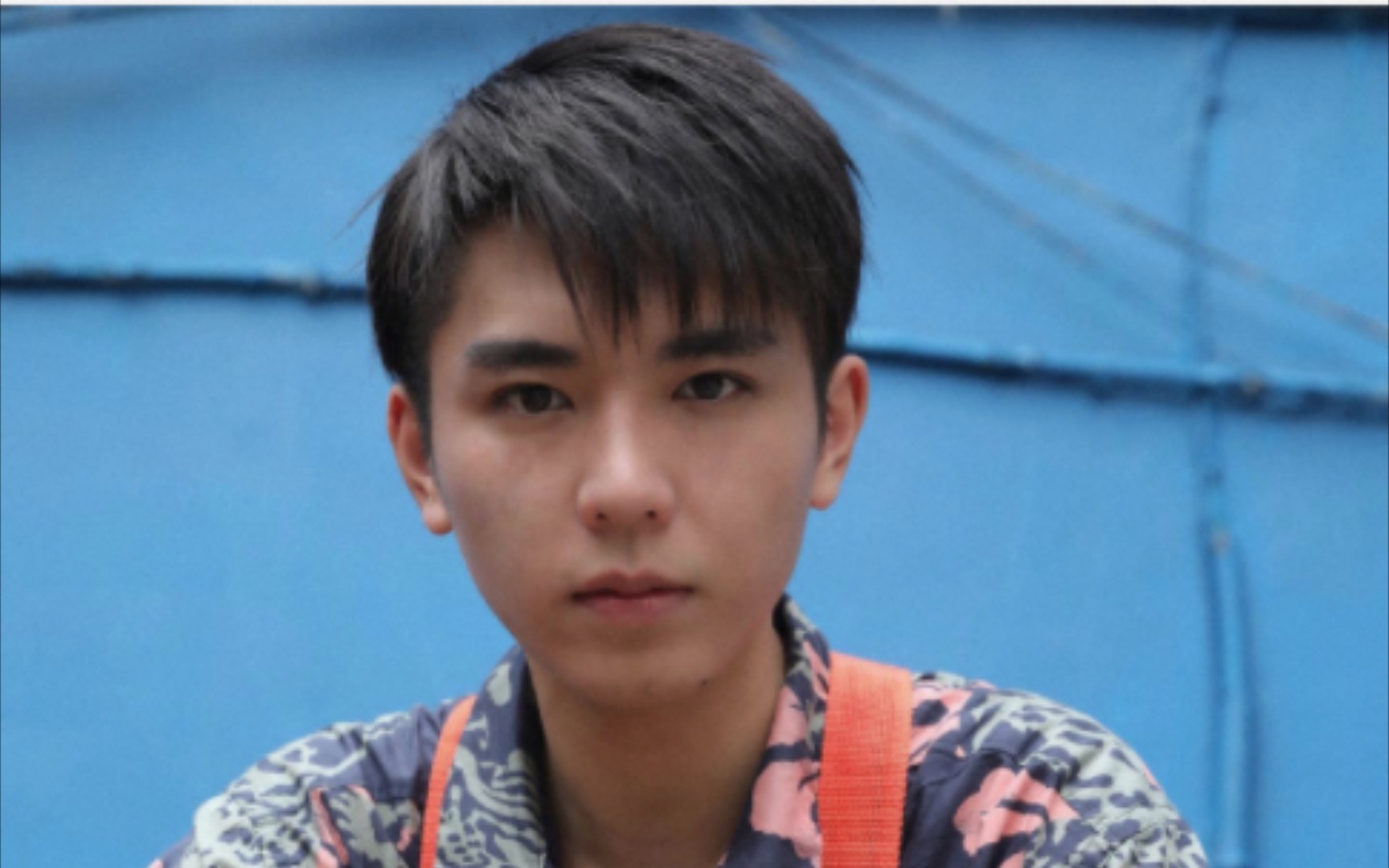 陈十三的生活碎片(四)十三与猫和狗