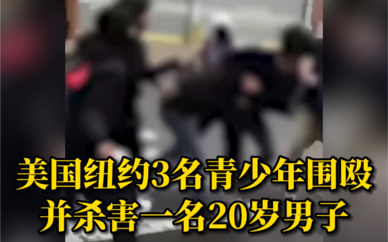 美国纽约3名青少年围殴并杀害一名20岁男子哔哩哔哩bilibili