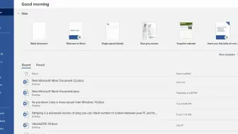 如何修复 Microsoft Word 在尝试打开文件时遇到错误