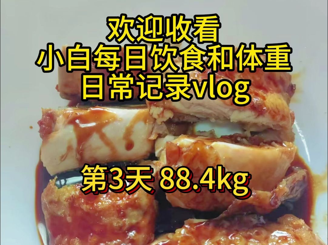 小白每日饮食和体重日常记录vlog第3天哔哩哔哩bilibili