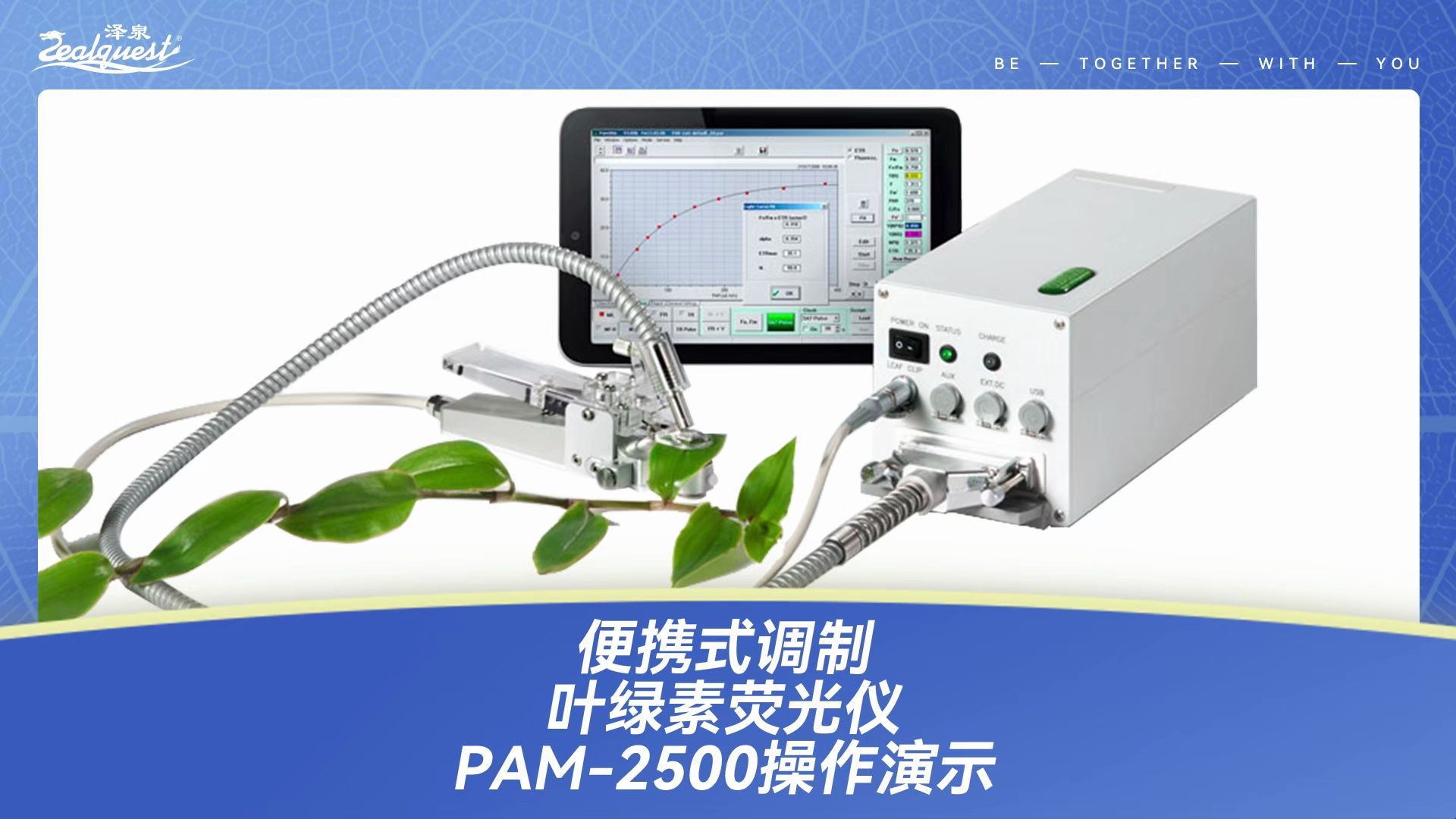 便携式调制叶绿素荧光仪PAM2500操作演示哔哩哔哩bilibili