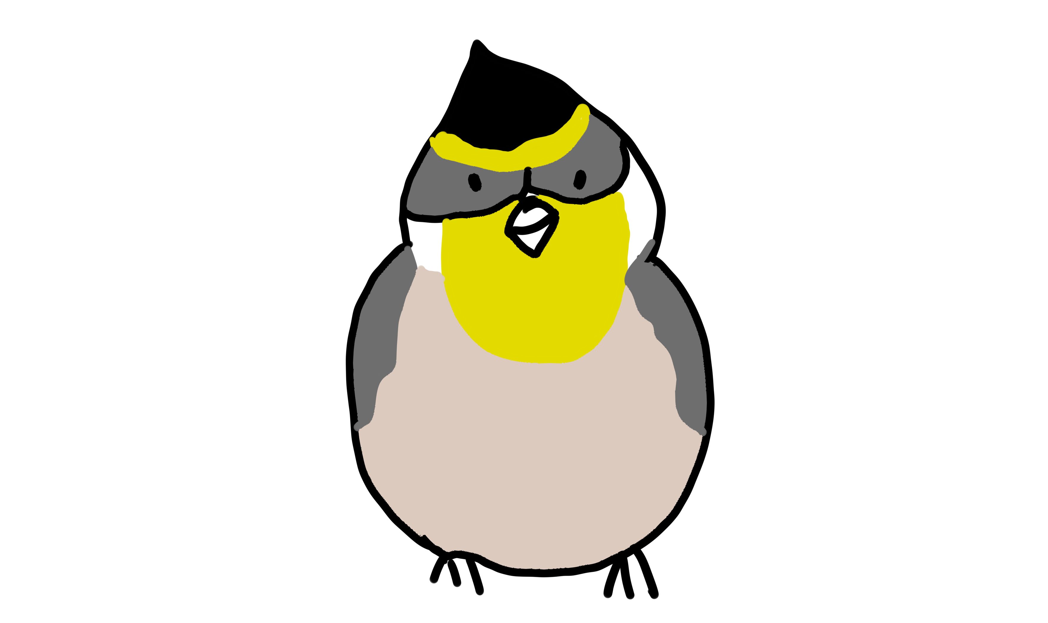 鸟头尖!鸟头尖!鸟头尖尖鸟头尖!鸟头尖!鸟头尖!鸟头尖尖鸟头尖!