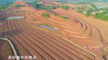 [图]《乡村“蝶变”，向美而行》