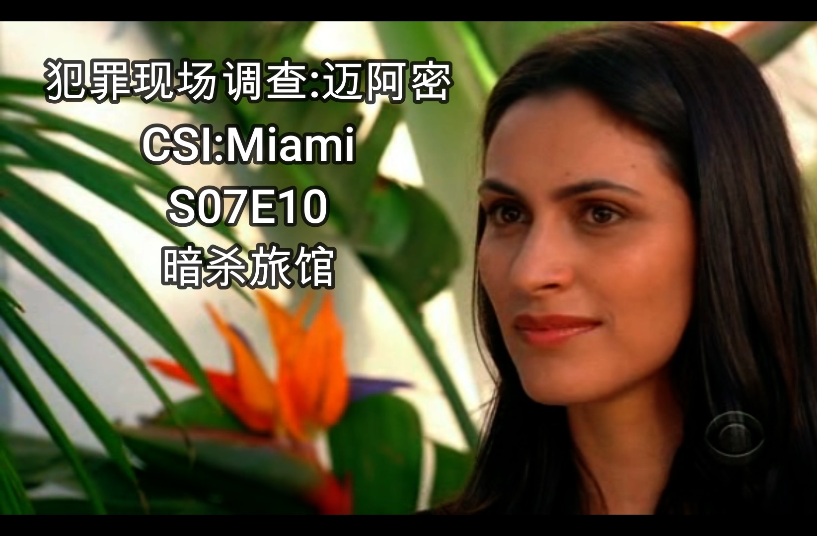 [图]【犯罪现场调查:迈阿密】CSI:Miami S07E10 暗杀旅馆/德鲁卡旅馆 怀疑非亲生,男子查身世引跟踪追杀;藏非法所得,夫妻起内讧枪走火杀人.