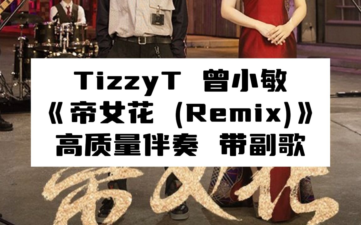 tizzyt 曾小敏 《帝女花 (remix)》 高质量伴奏 带副歌