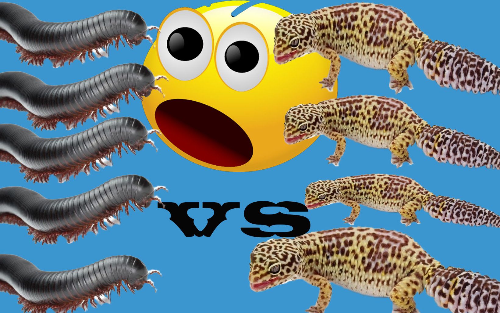 6bd19c056aa8ded61b5ac9c6a172cefe2fb88275.jpg