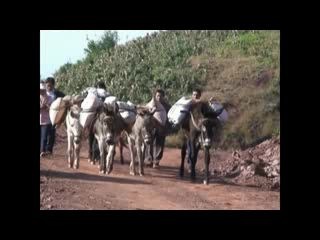 [图]云南山歌博物馆【拉子说倮举】玉溪市新平县彝族山歌