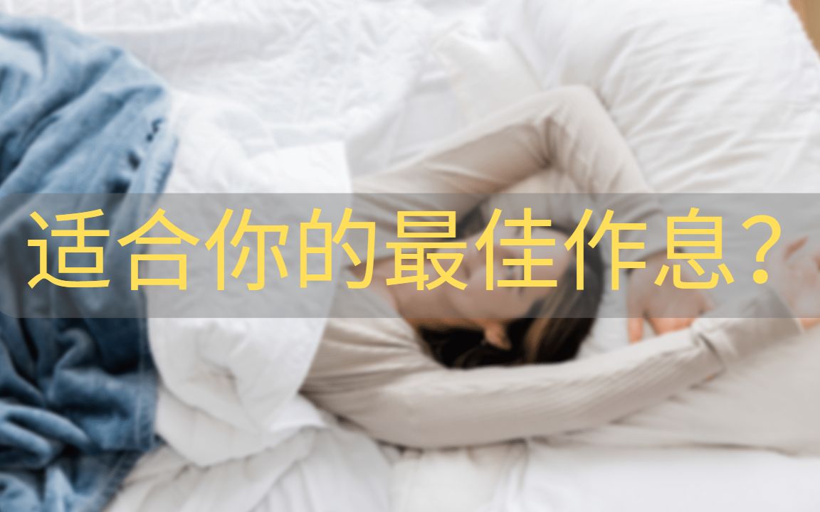 慕尼黑睡眠类型测试|适合你的最佳作息时间是怎样的?通过这个测试就能找到答案哔哩哔哩bilibili