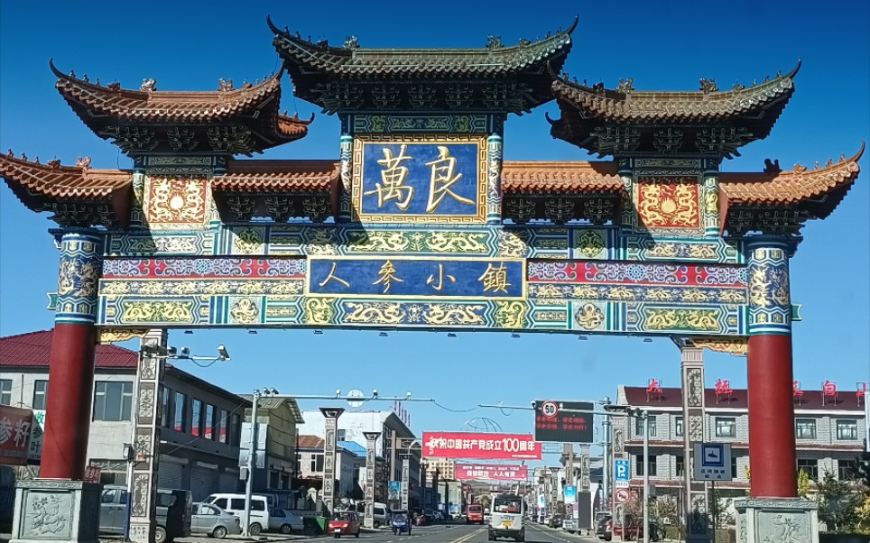 延边州万良人参市场