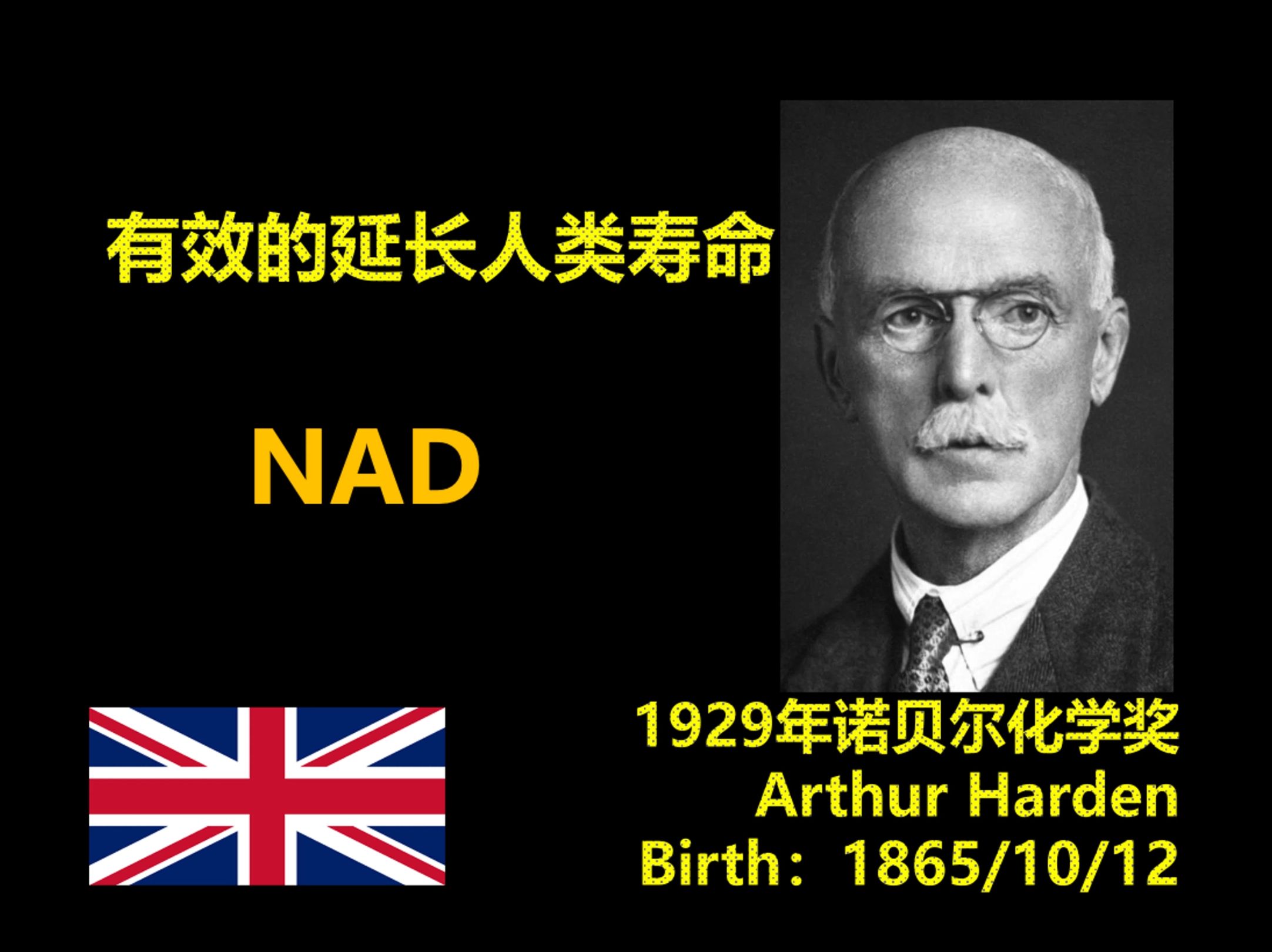 NAD可以延长寿命 1929年诺贝尔化学奖哔哩哔哩bilibili