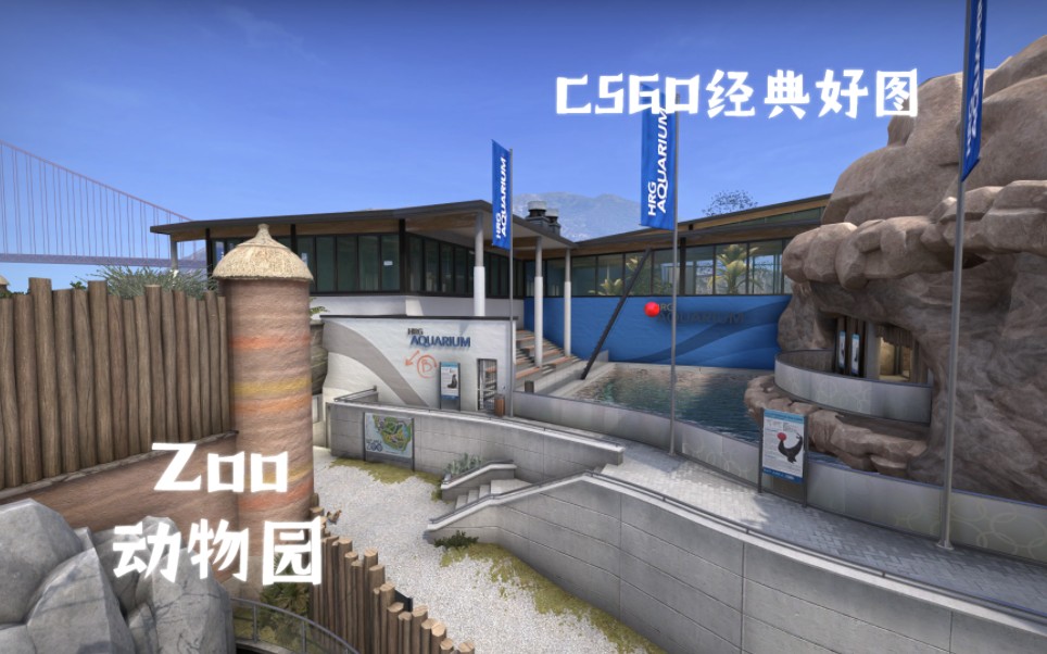 CSGO已删除的好图——zoo 动物园哔哩哔哩bilibili第一视角