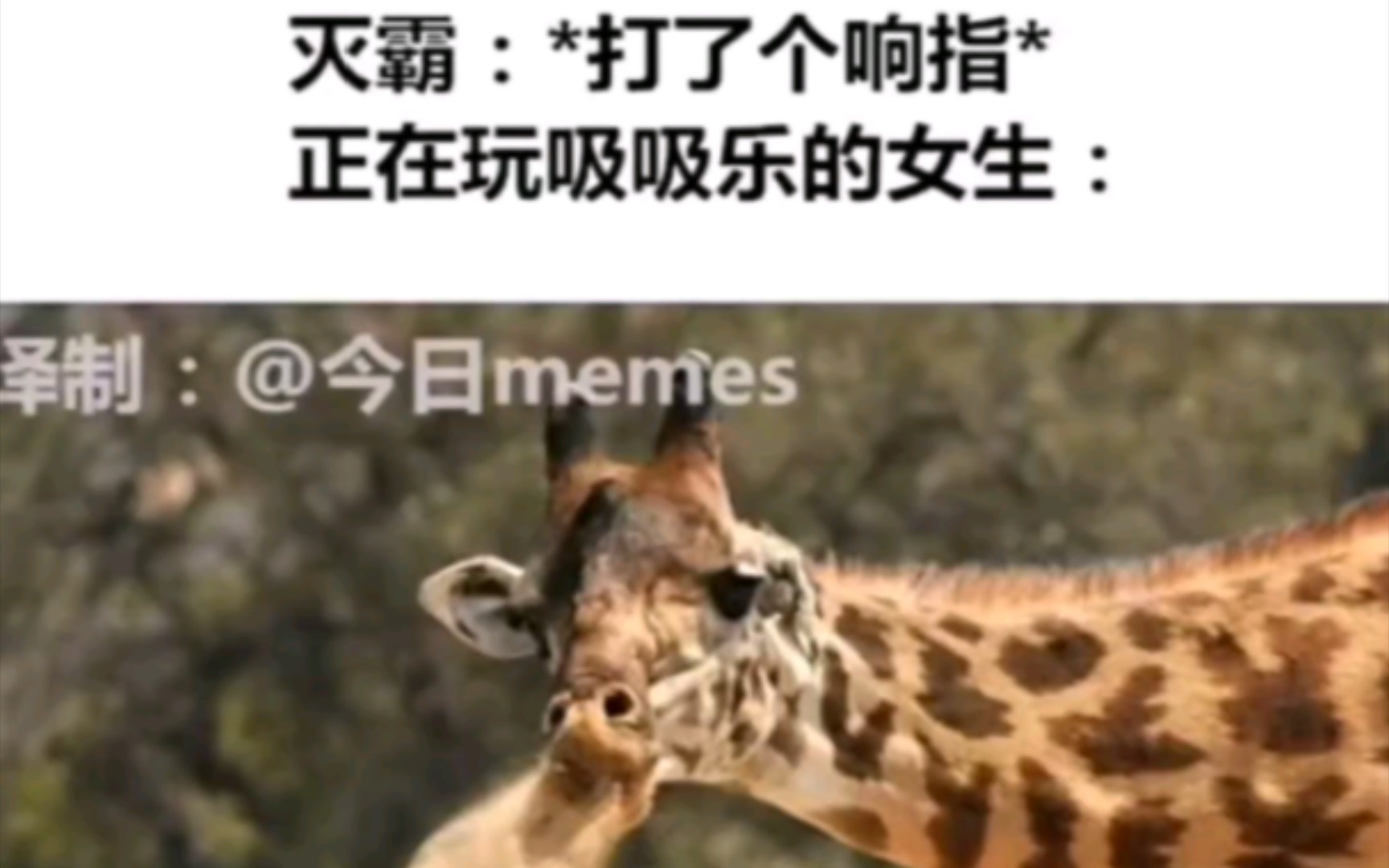 【网络离谱梗图】最好玩的是吸吸乐哔哩哔哩bilibili