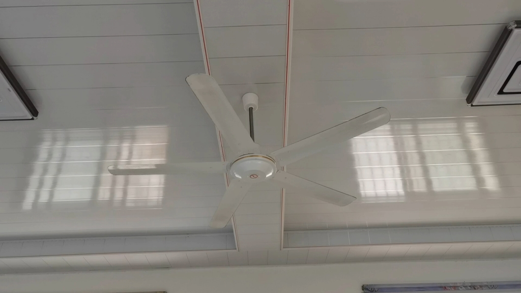 (新款扬子五叶吊扇,有异响)位于村内某户人家