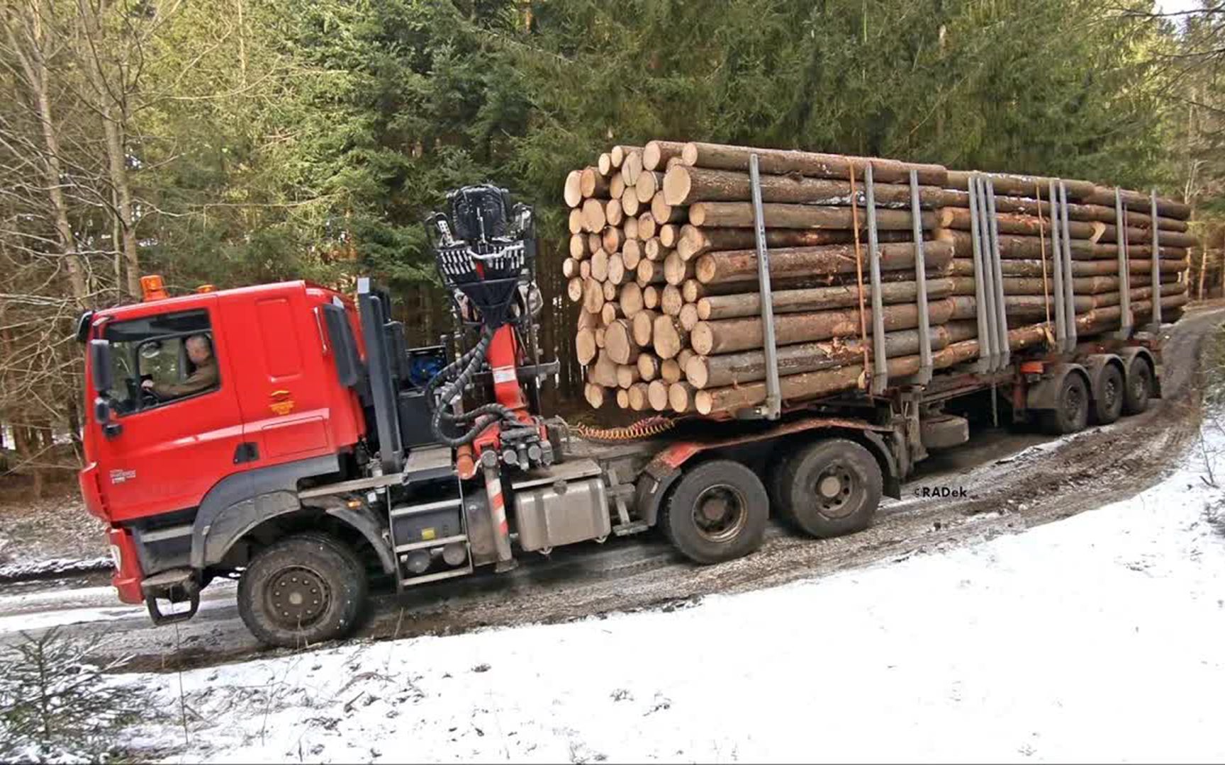 低调的原木运输车图片