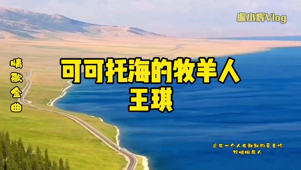 王琪可可托海的牧羊人深情动听感人至深珍惜眼前人