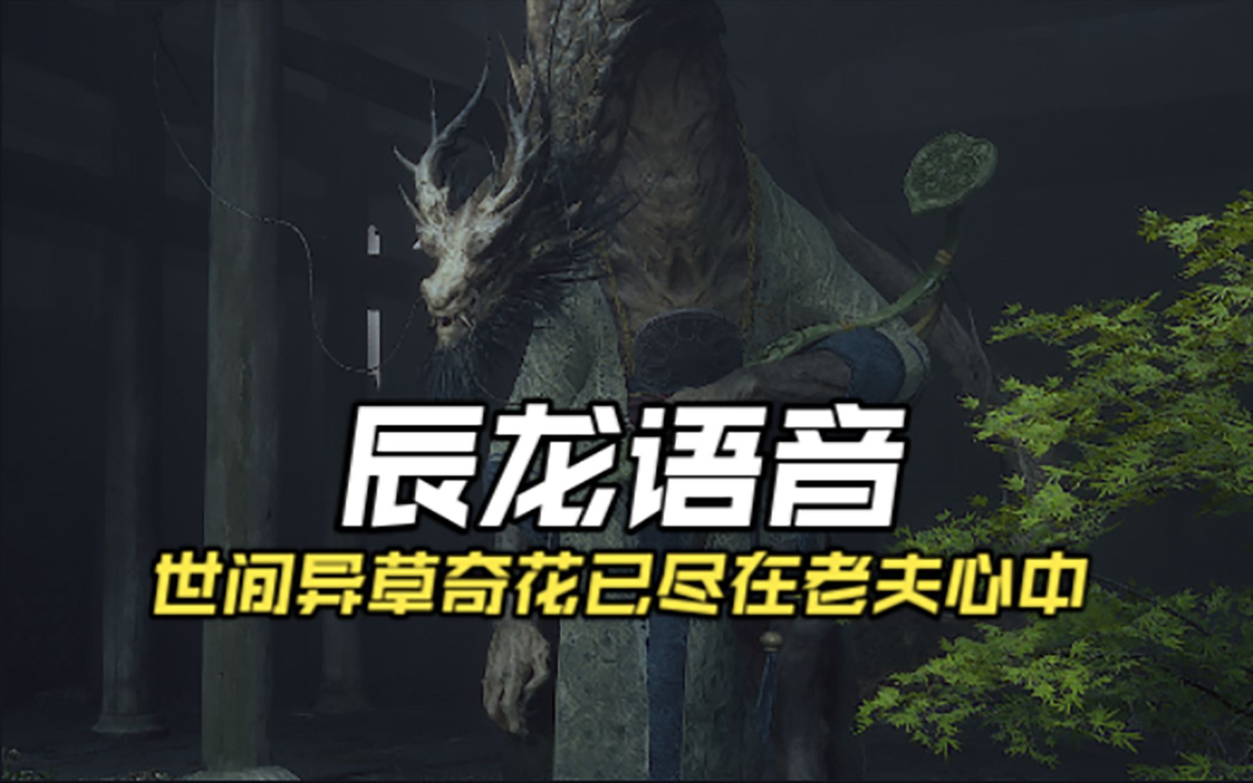 辰龙语音：正所谓好土出好苗，好苗结好果。