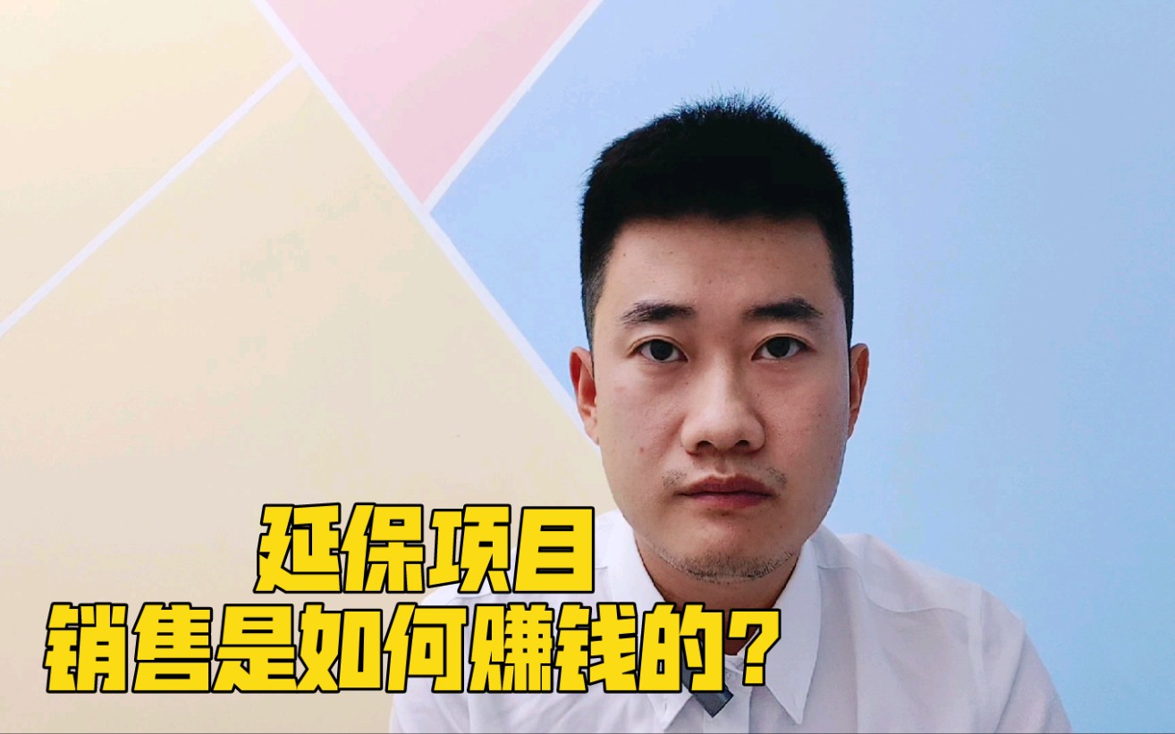 延保项目销售是如何赚钱的?为何说你发现不了?哔哩哔哩bilibili