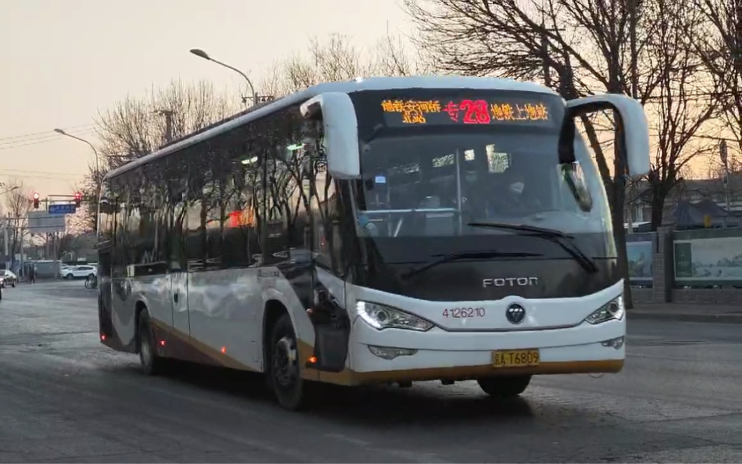 北京公交虫子图片
