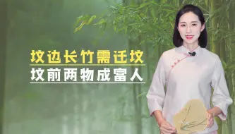 Video herunterladen: “坟边长竹需迁坟，坟前两物成富人”，两物指啥？清明上坟得留意