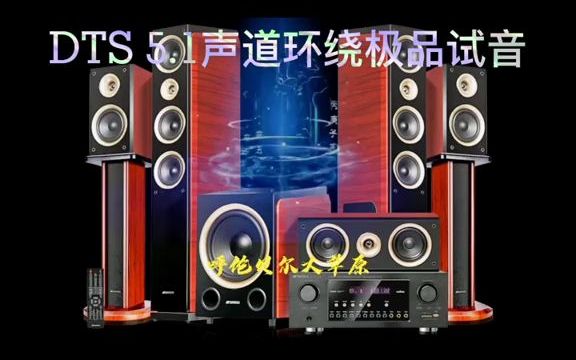 ,DTS格式 5.1环绕声道,天花板级别的 音乐 无损完整版哔哩哔哩bilibili