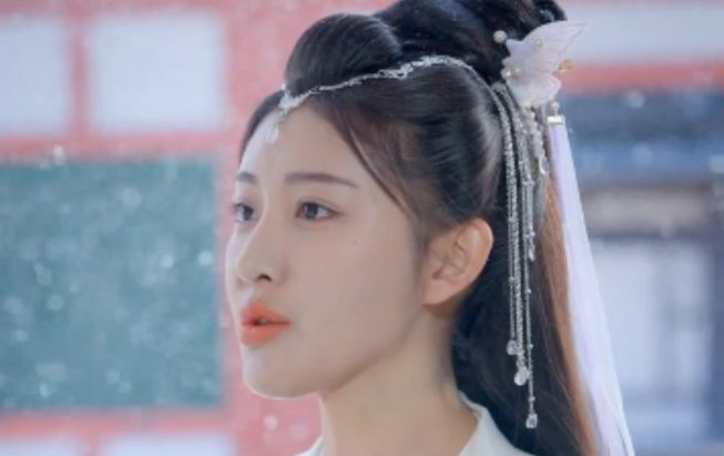 《将军令》全集1-256