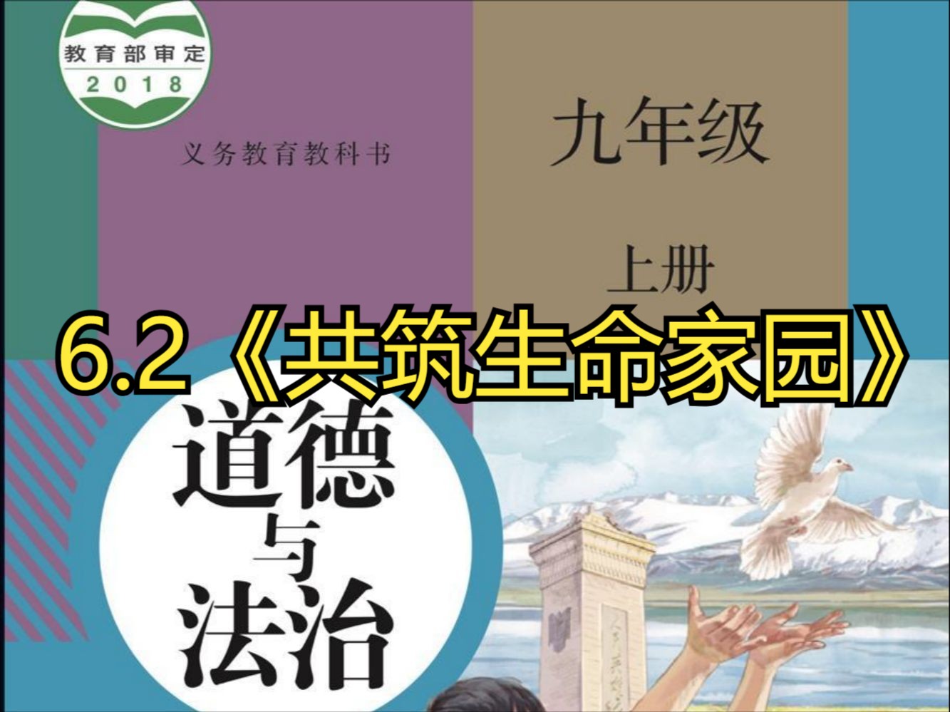 2024九上道法|6.2《共筑生命家园》教材讲解哔哩哔哩bilibili