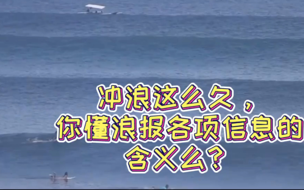 冲浪这么久,你会看浪报了吗?一分钟带你了解浪报各项数据含义哔哩哔哩bilibili