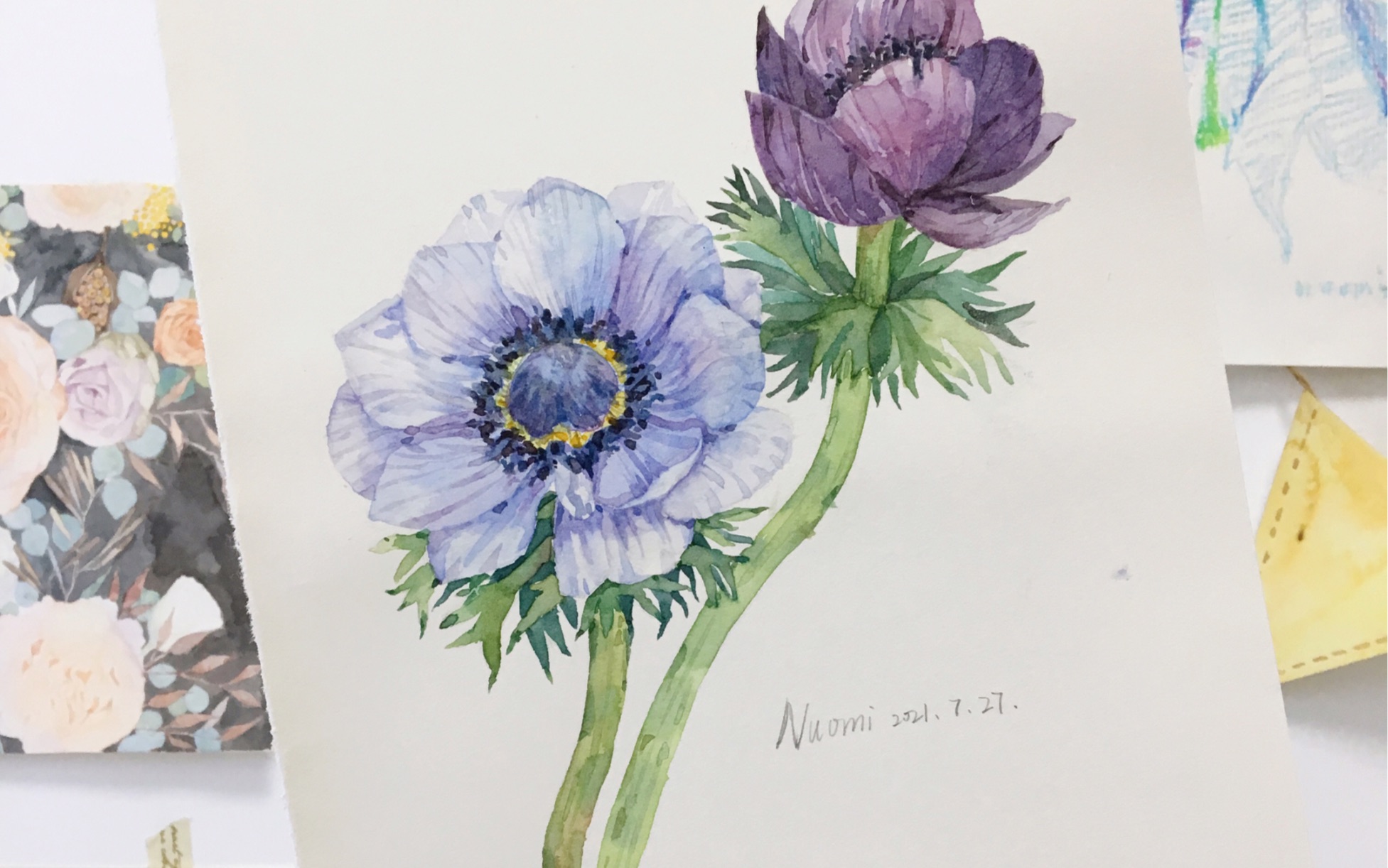 绘画过程|马蒂尼水彩颜料测评,画了两朵银莲花～(第一次配字幕^v^)