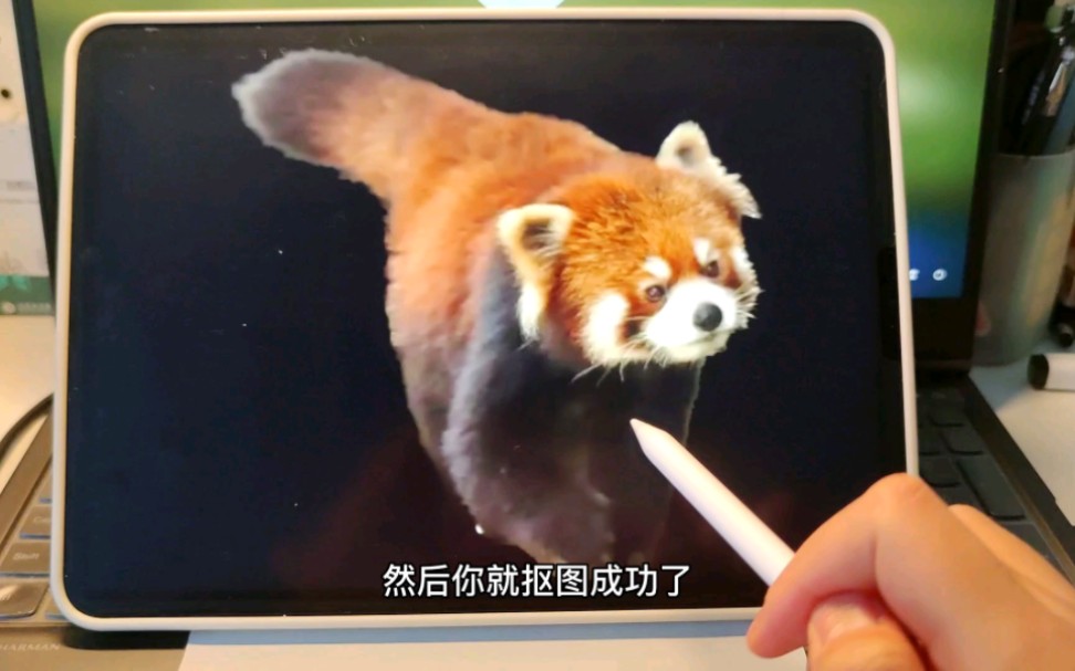 ipad苹果一秒抠图,有点牛啊!!哔哩哔哩bilibili